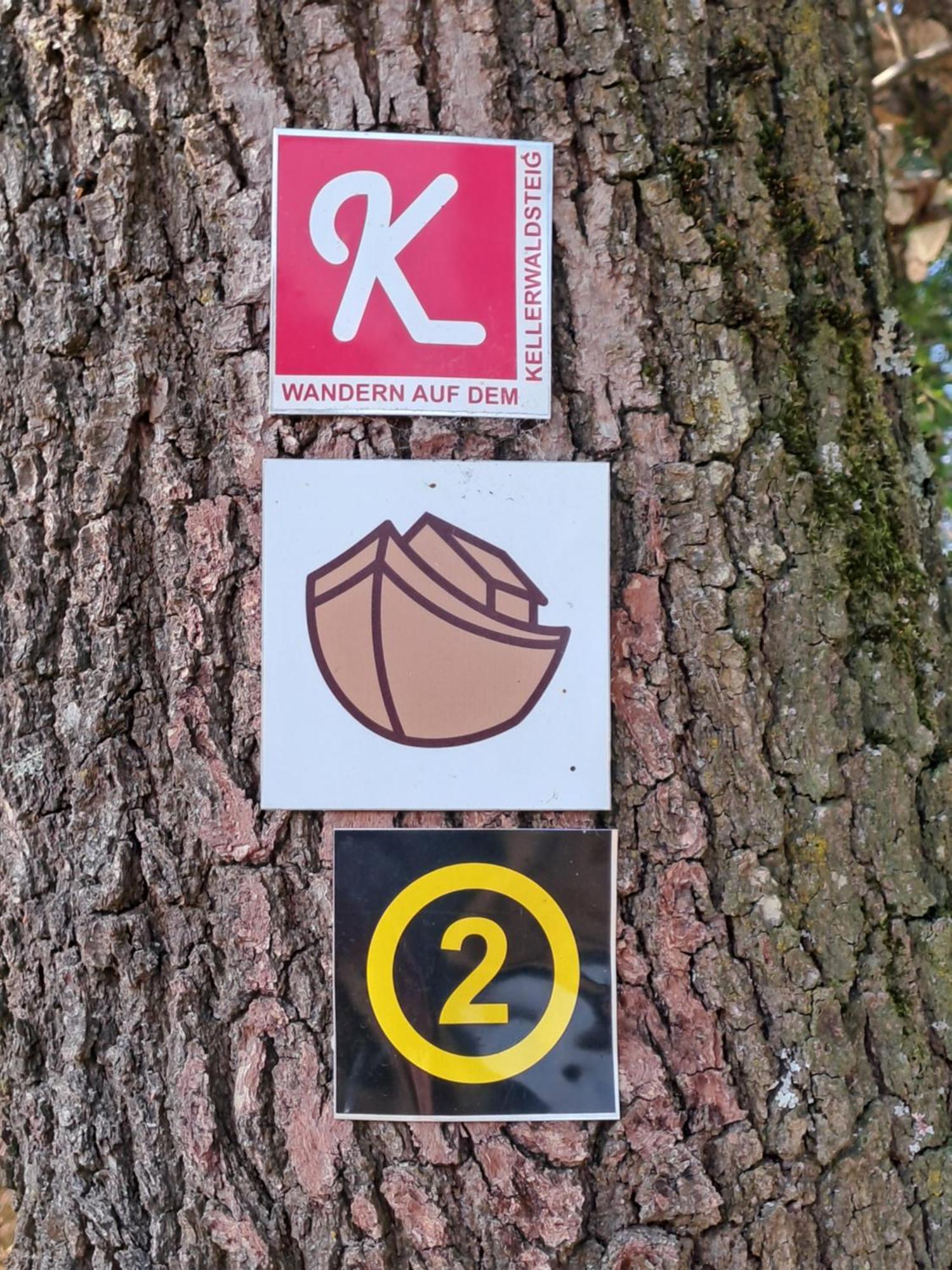 Ferienwohnung Schaefer Am Nationalpark Kellerwald Frankenau Exterior photo